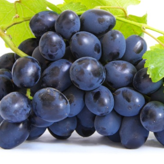 grape seed extract